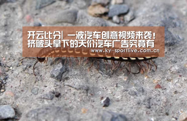 开云比分|
一波汽车创意视频来袭!挤破头拿下的天价汽车广告究竟有多牛?(图1) 开云比分