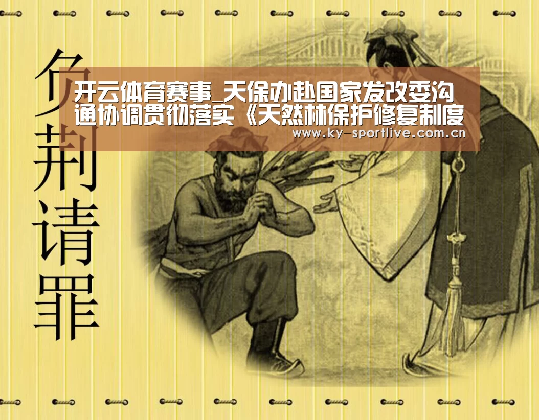 开云体育赛事