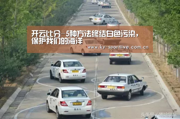 开云比分-5种方法终结白色污染,保护我们的海洋(图1) 开云体育赛事